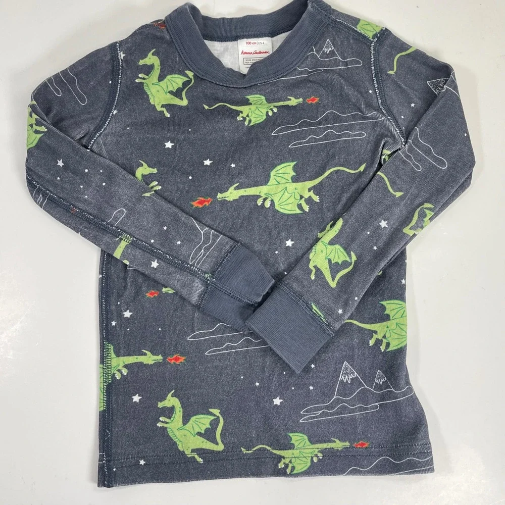 Hanna Andersson Dragon Pajama Set Kids Size 4 Blue Green Organic Cotton PJs